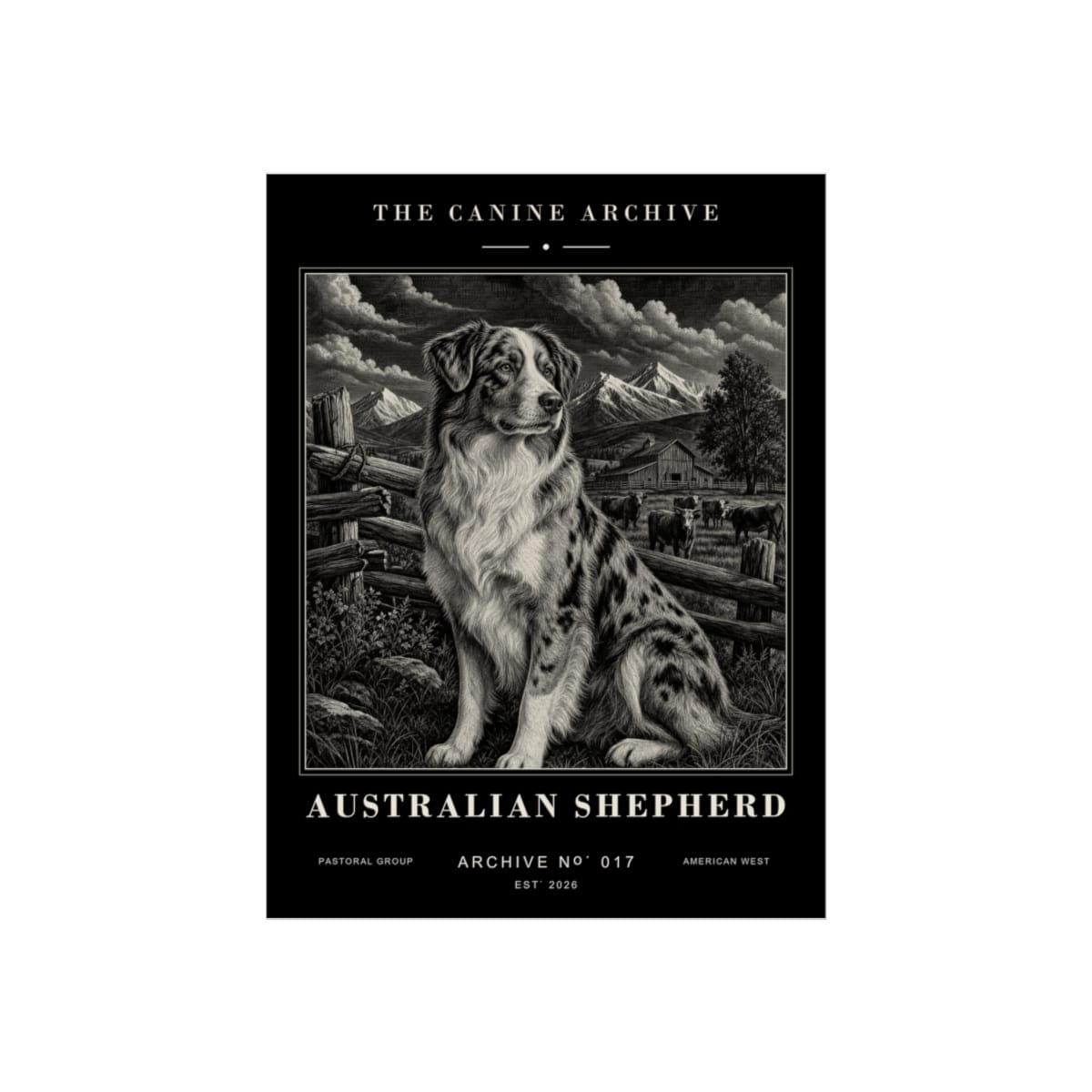 Australian Shepherd Archive Print · 12 x 16