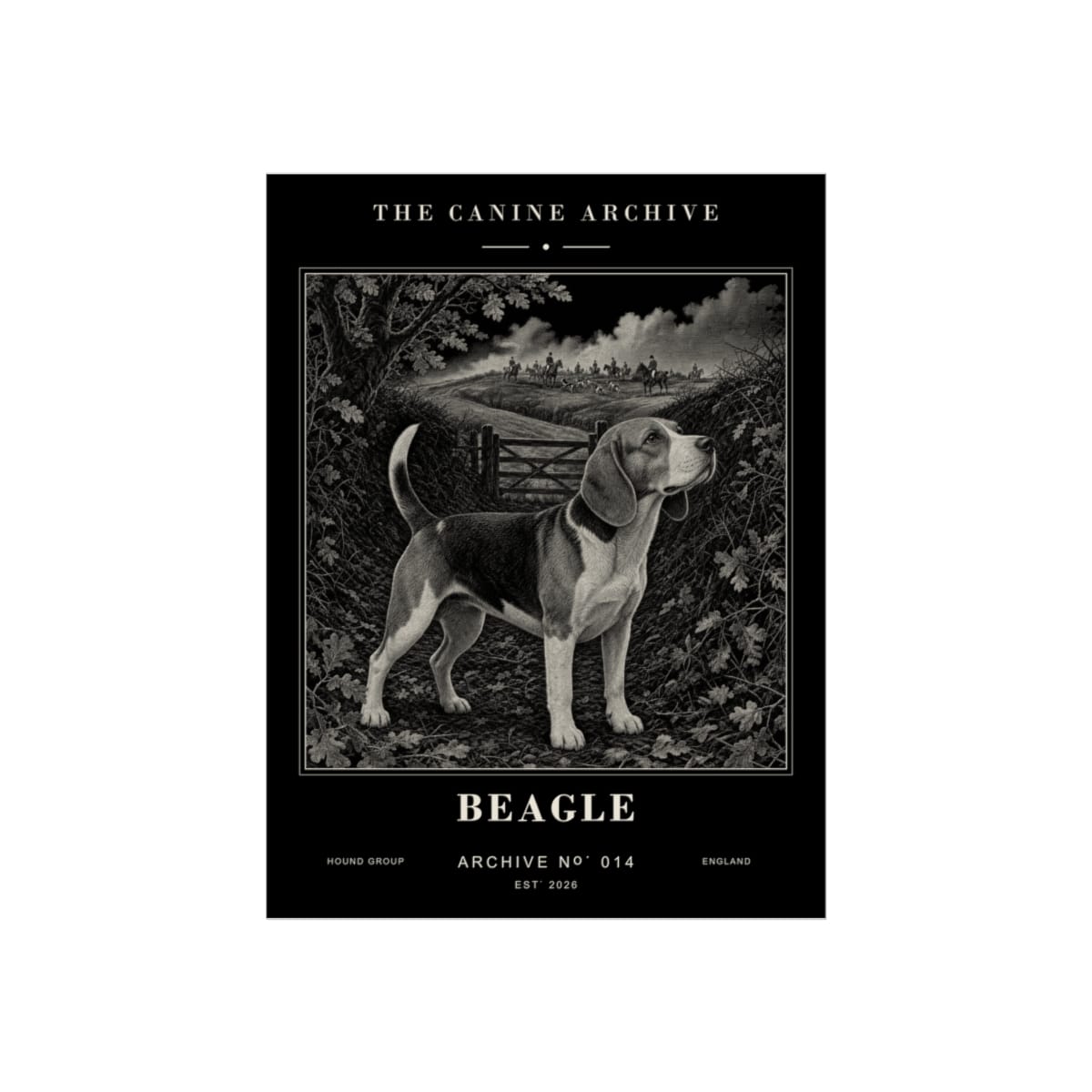 Beagle Archive Print · 12 x 16