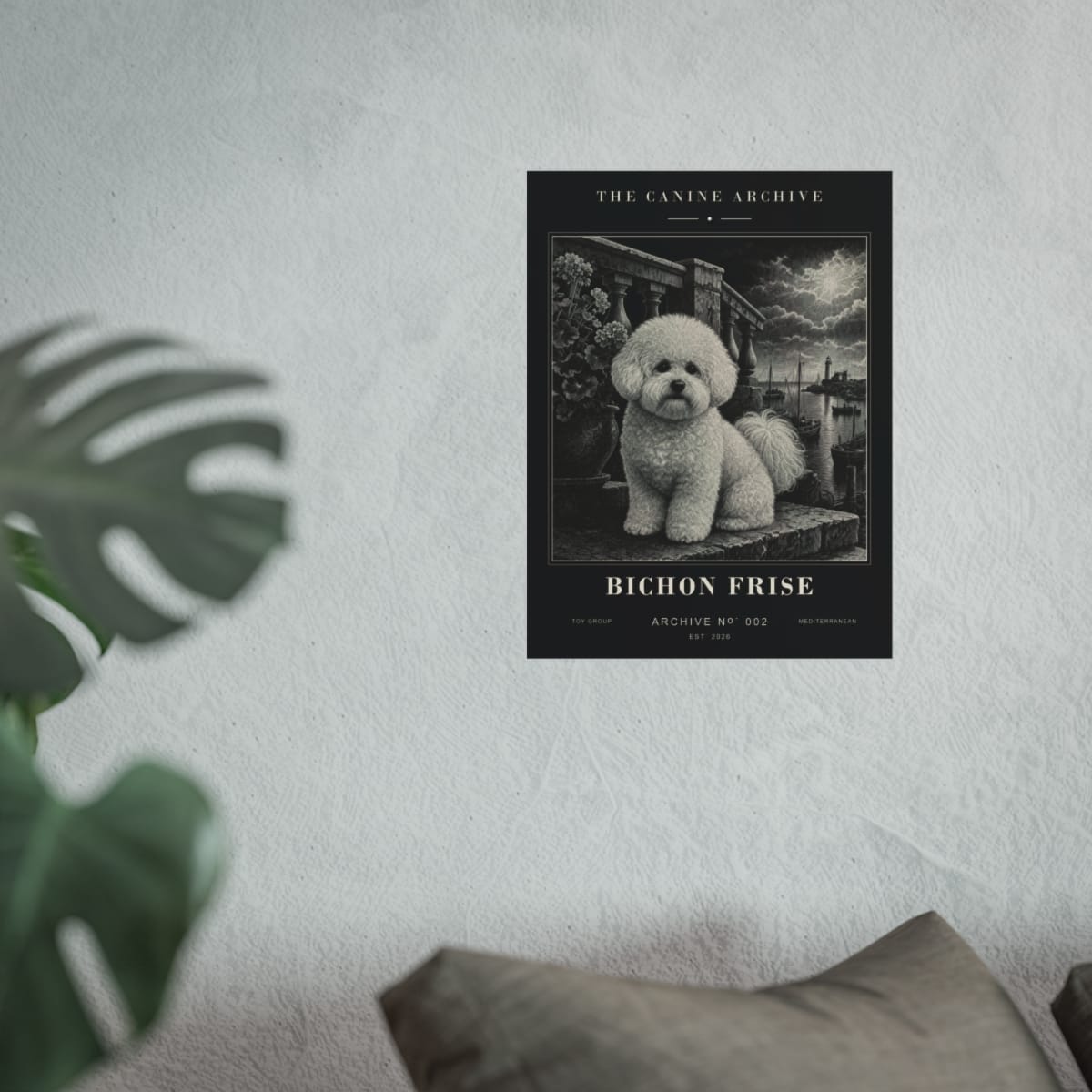 Bichon Frise Archive Print photograph 2