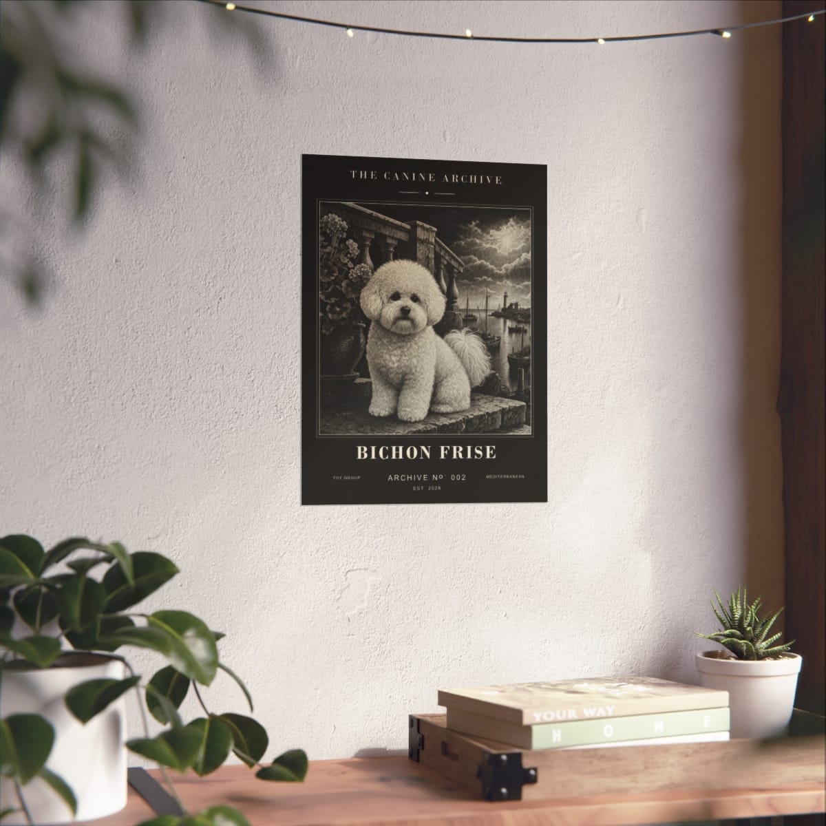 Bichon Frise Archive Print photograph 3