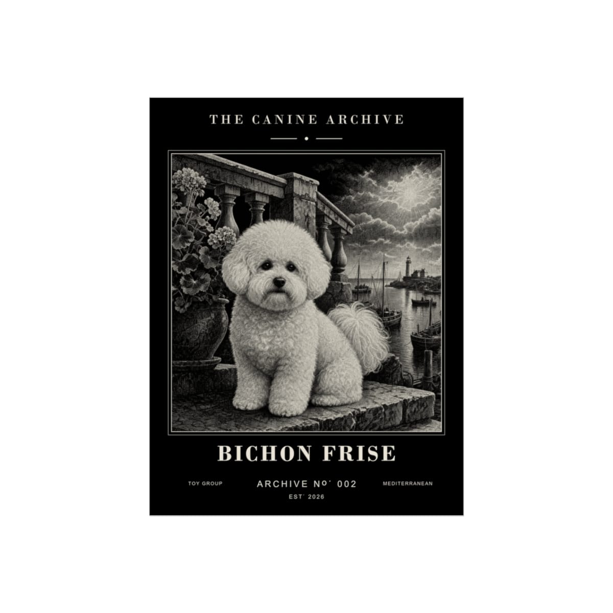 Bichon Frise Archive Print · 12 x 16