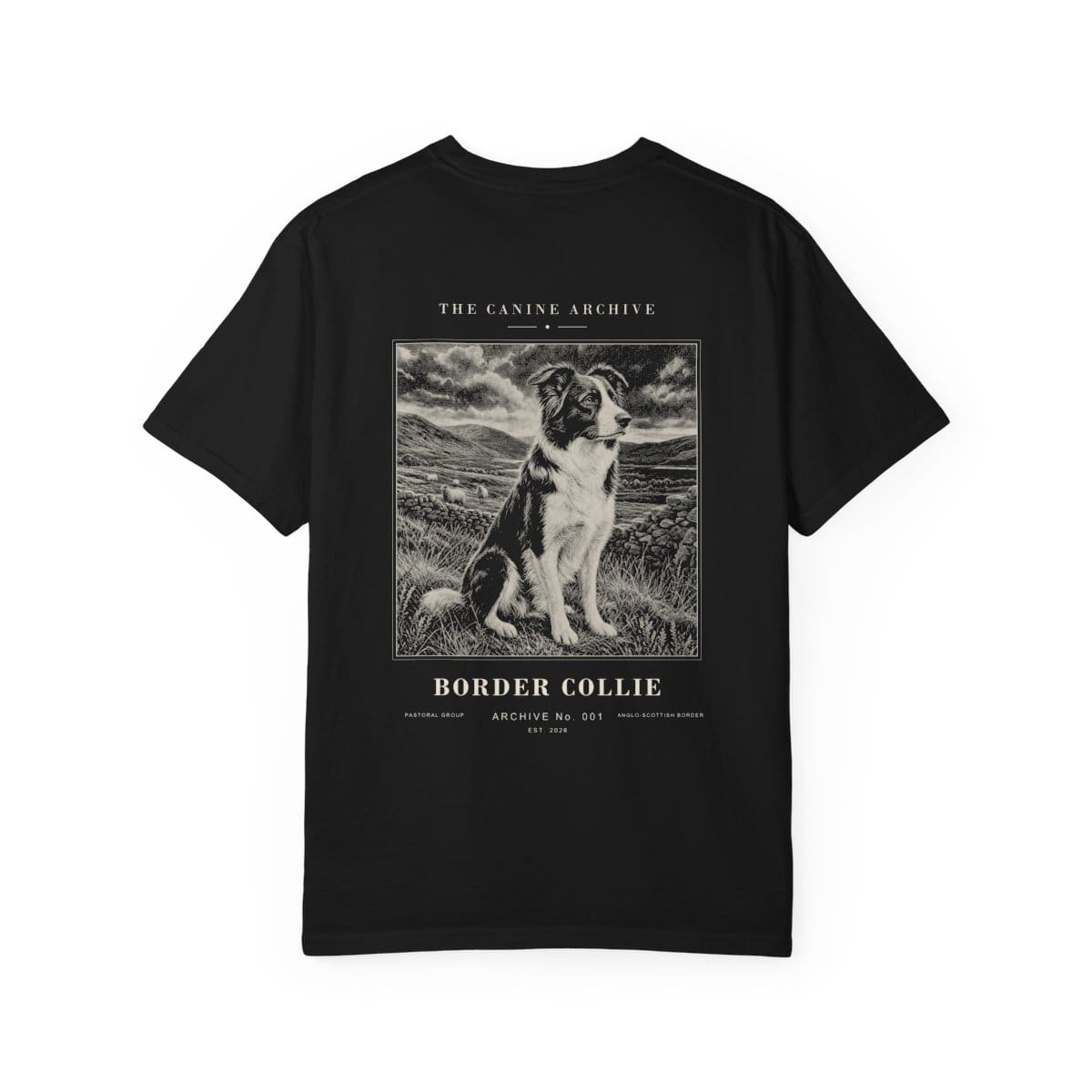Border Collie Archive Tee in Black