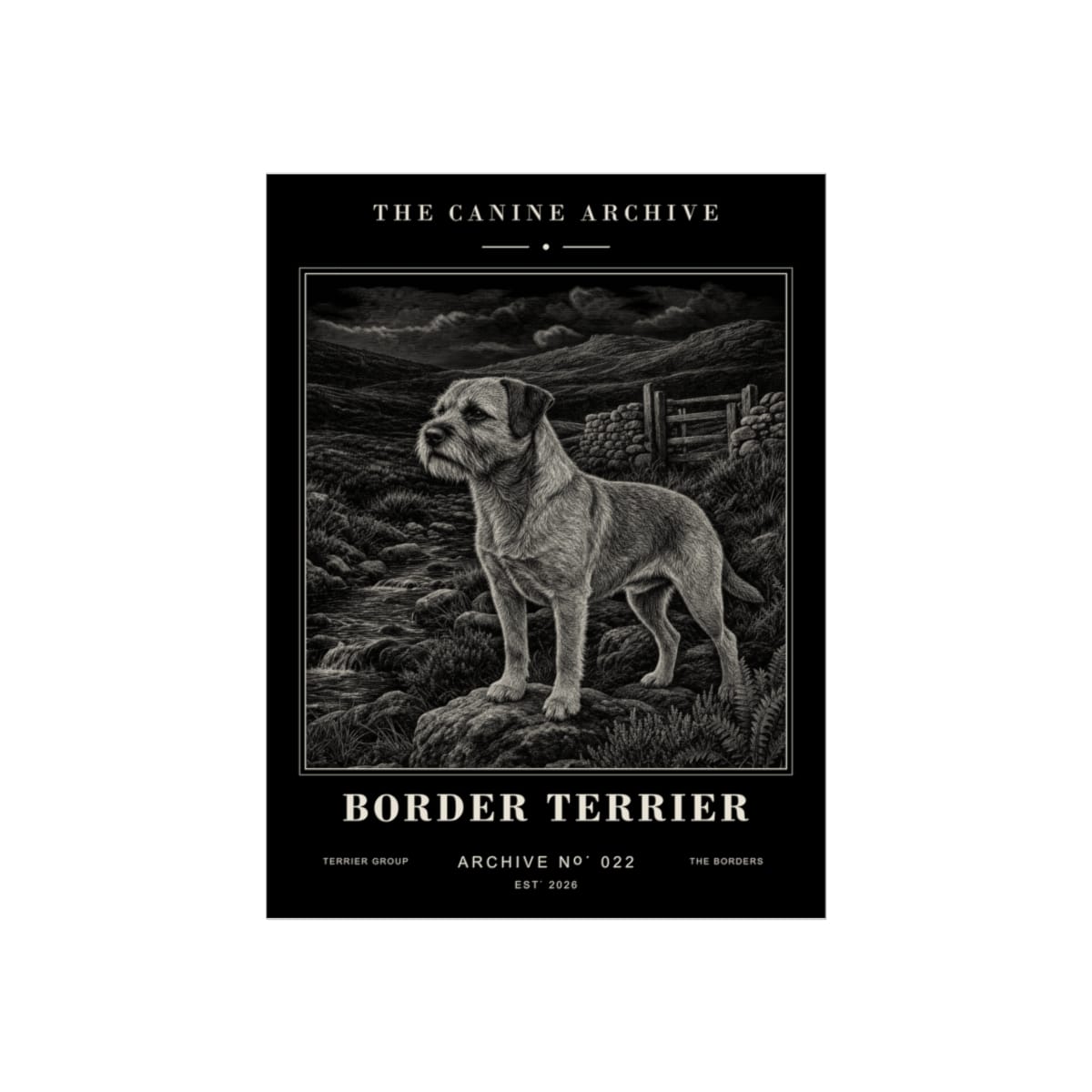Border Terrier Archive Print · 12 x 16