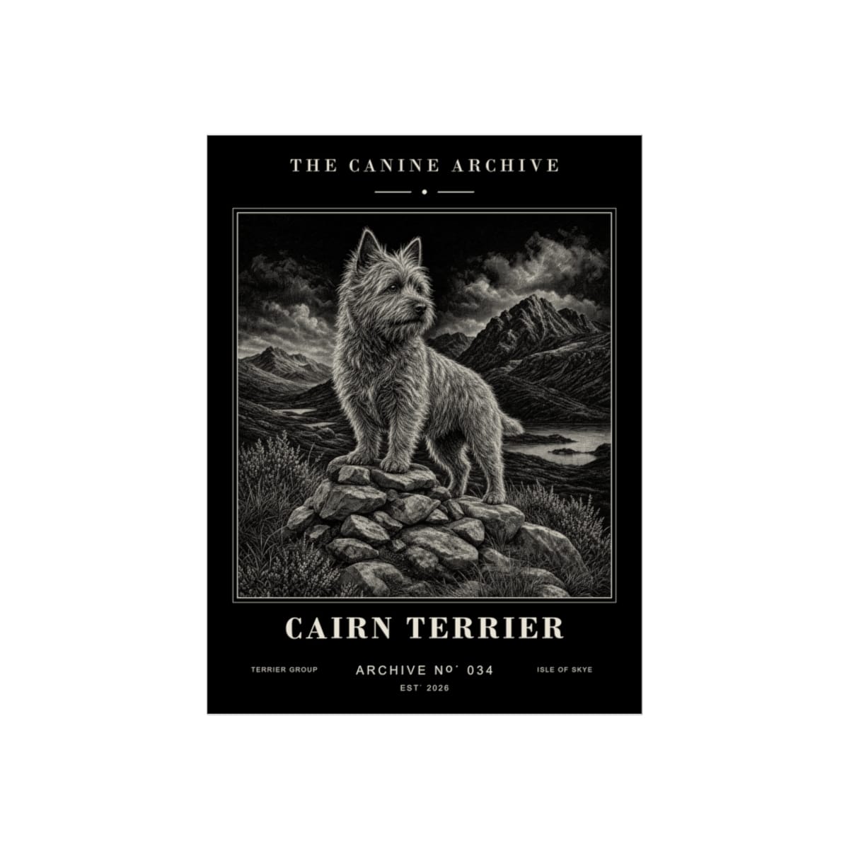 Cairn Terrier Archive Print · 12 x 16