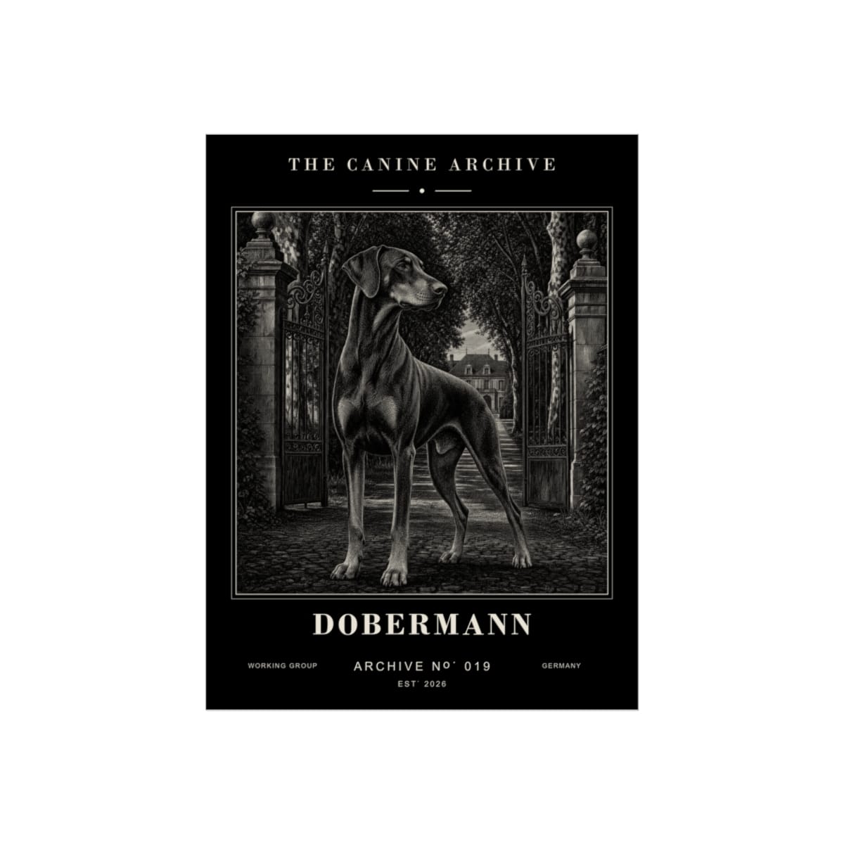 Dobermann Archive Print · 12 x 16