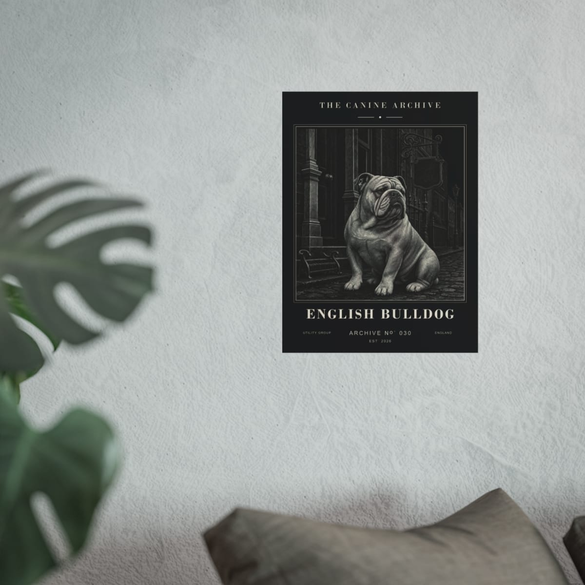 English Bulldog Archive Print photograph 2