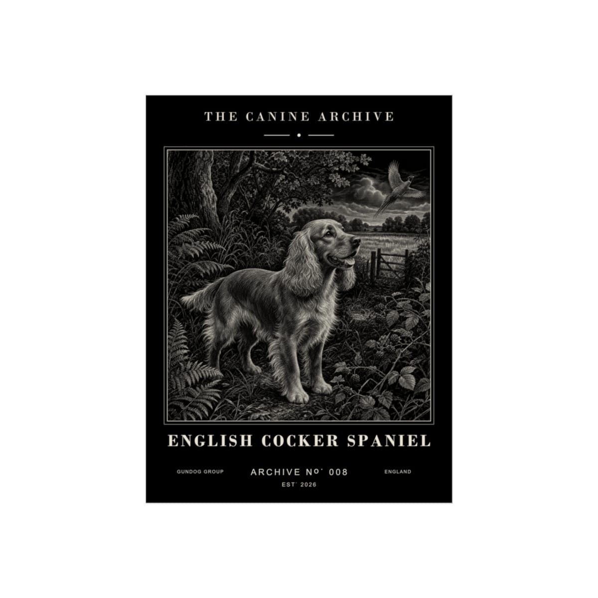 English Cocker Spaniel Archive Print · 12 x 16