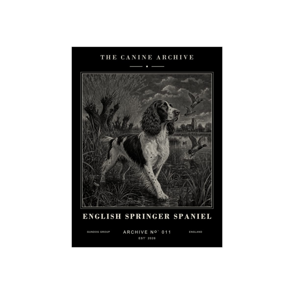 English Springer Spaniel Archive Print · 12 x 16