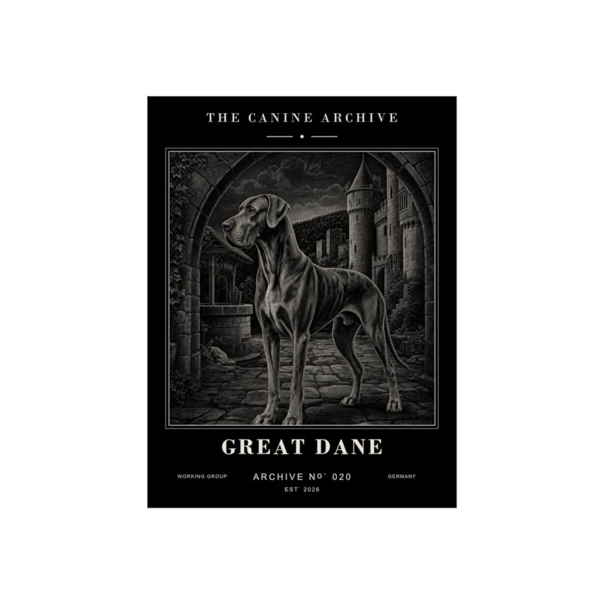 Great Dane Archive Print · 12 x 16