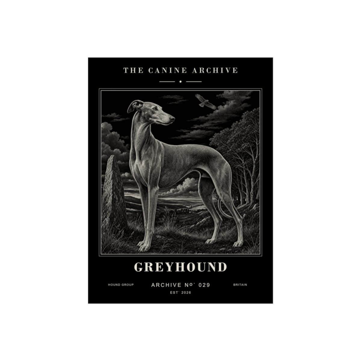 Greyhound Archive Print · 12 x 16