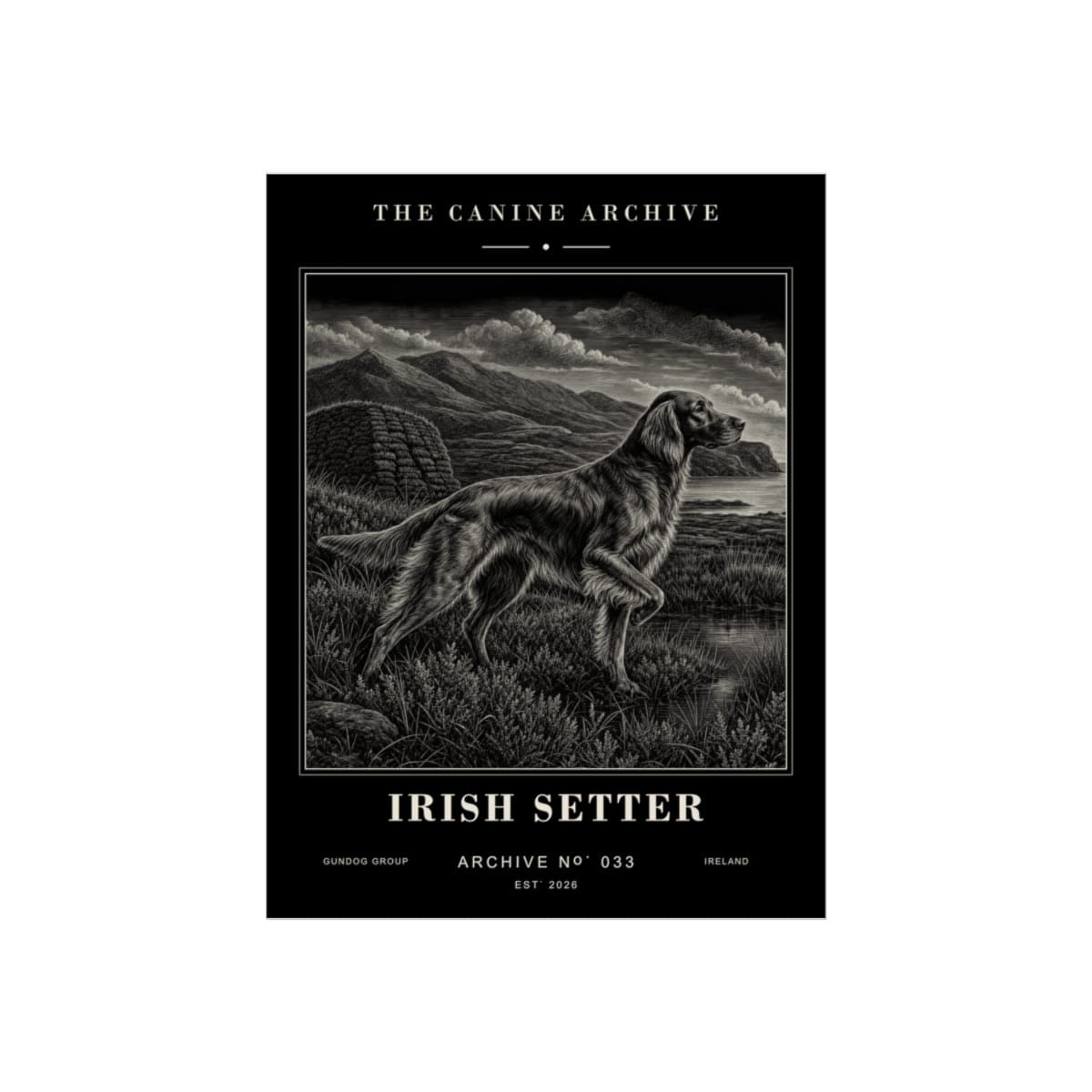 Irish Setter Archive Print · 12 x 16