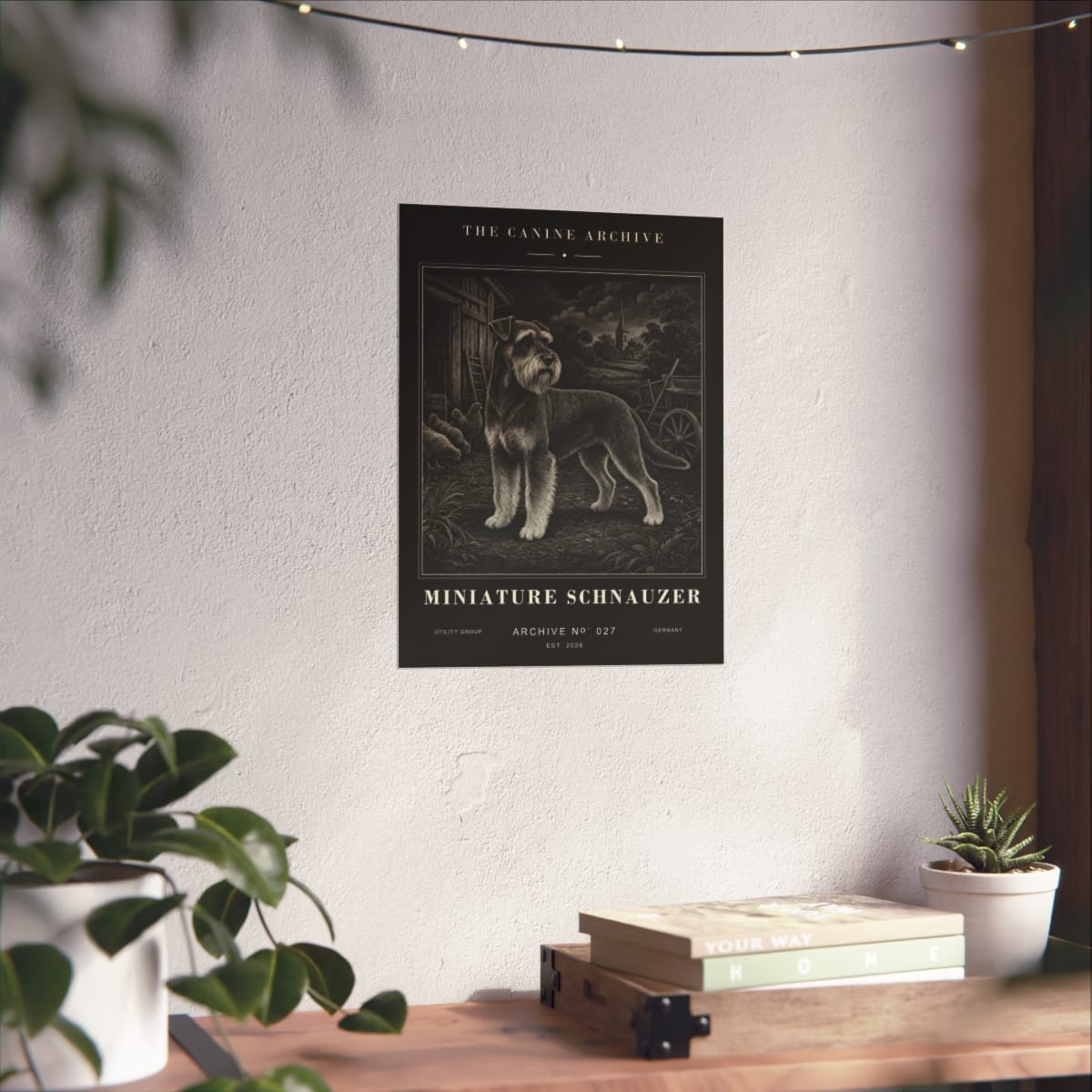 Miniature Schnauzer Archive Print photograph 3