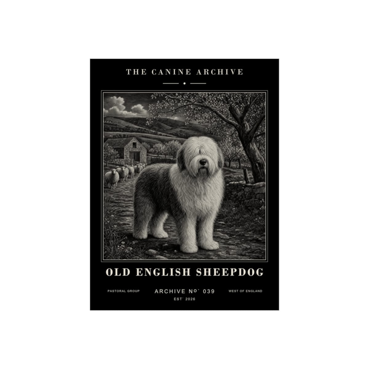 Old English Sheepdog Archive Print · 12 x 16