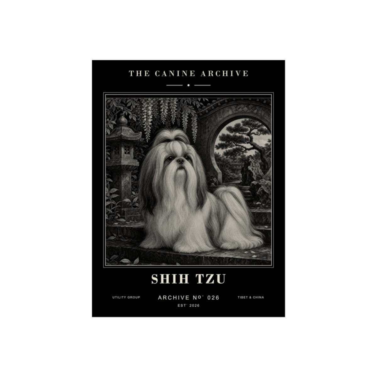 Shih Tzu Archive Print · 12 x 16