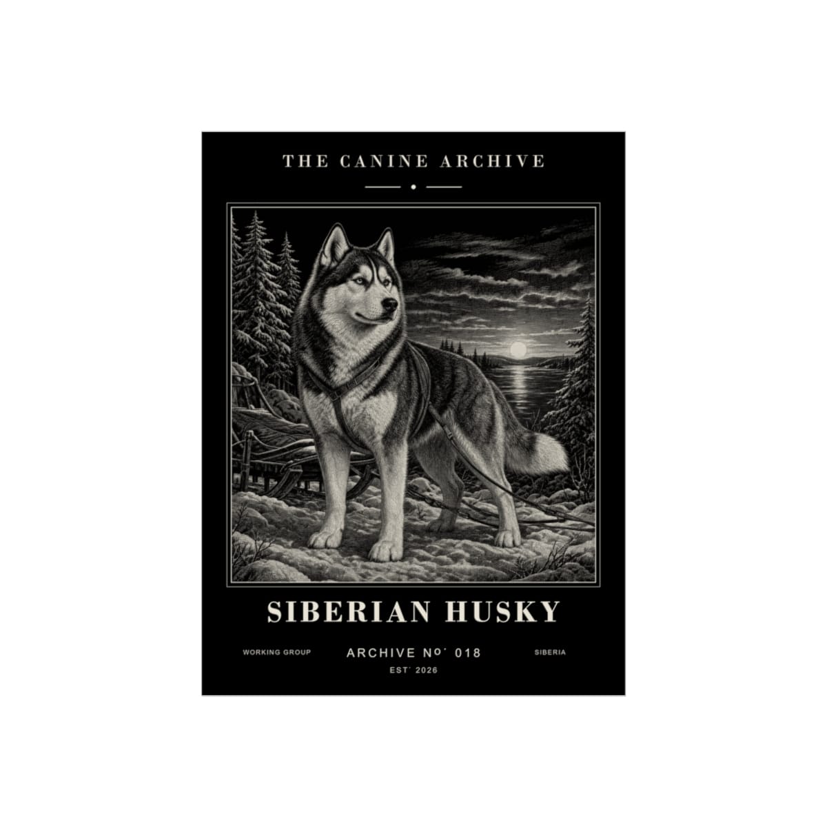 Siberian Husky Archive Print · 12 x 16