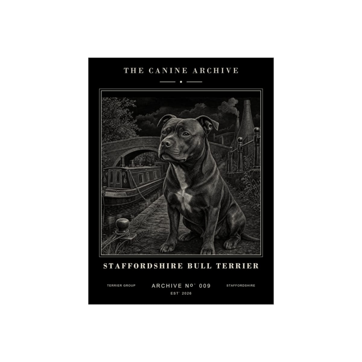 Staffordshire Bull Terrier Archive Print · 12 x 16
