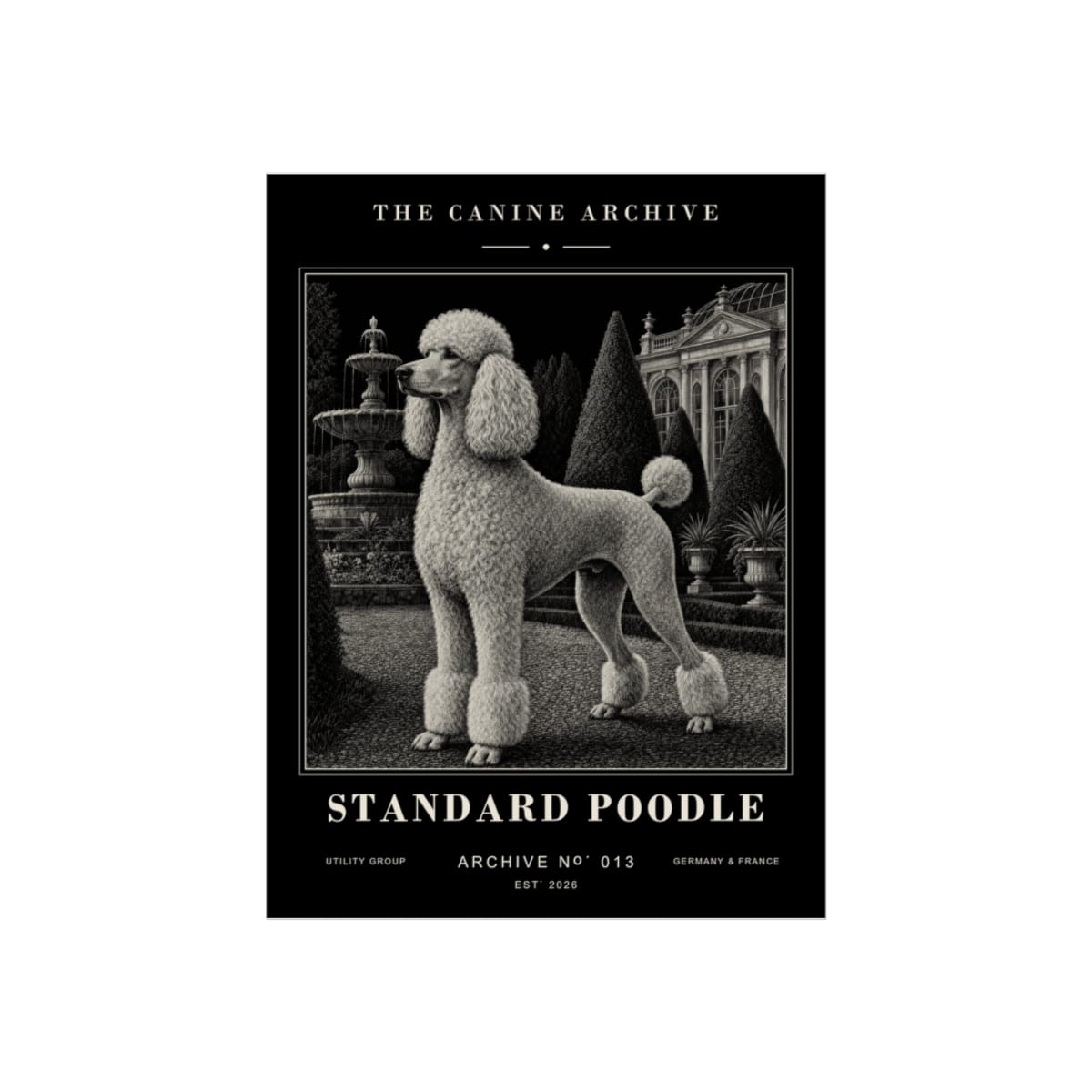 Standard Poodle Archive Print · 12 x 16