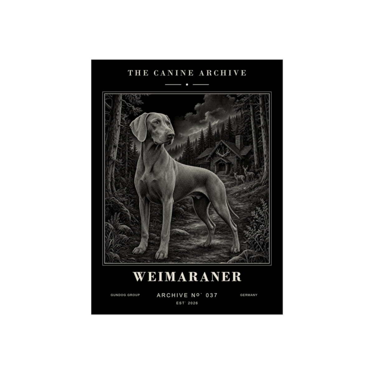 Weimaraner Archive Print · 12 x 16
