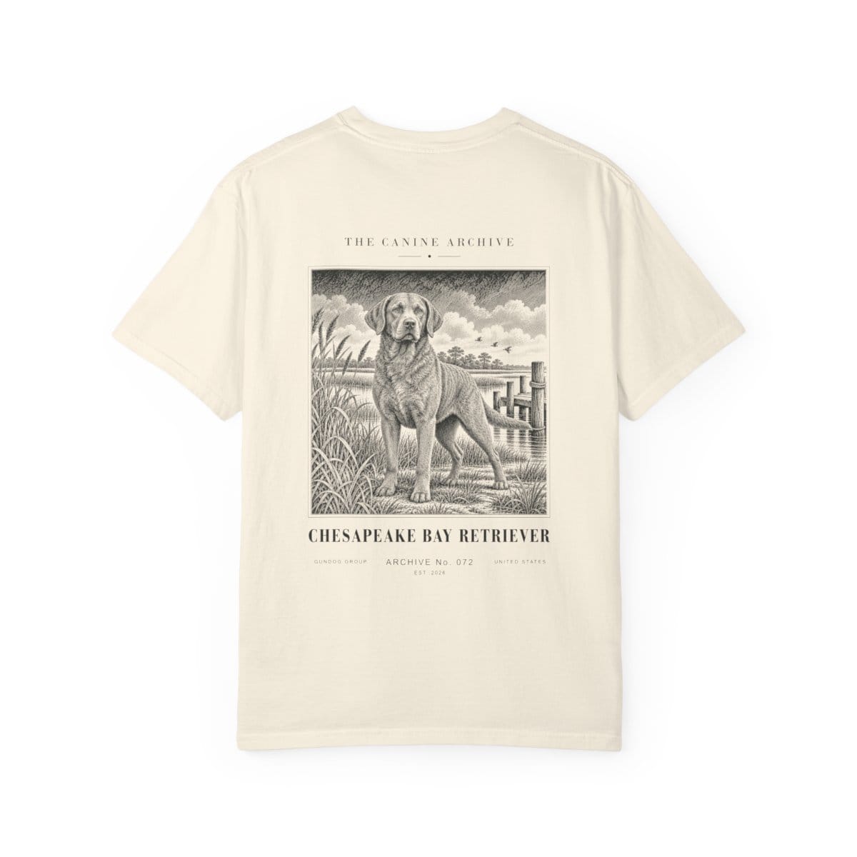 Chesapeake Bay Retriever Tee in Ivory