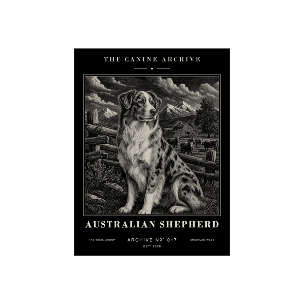 Australian Shepherd Archive Print