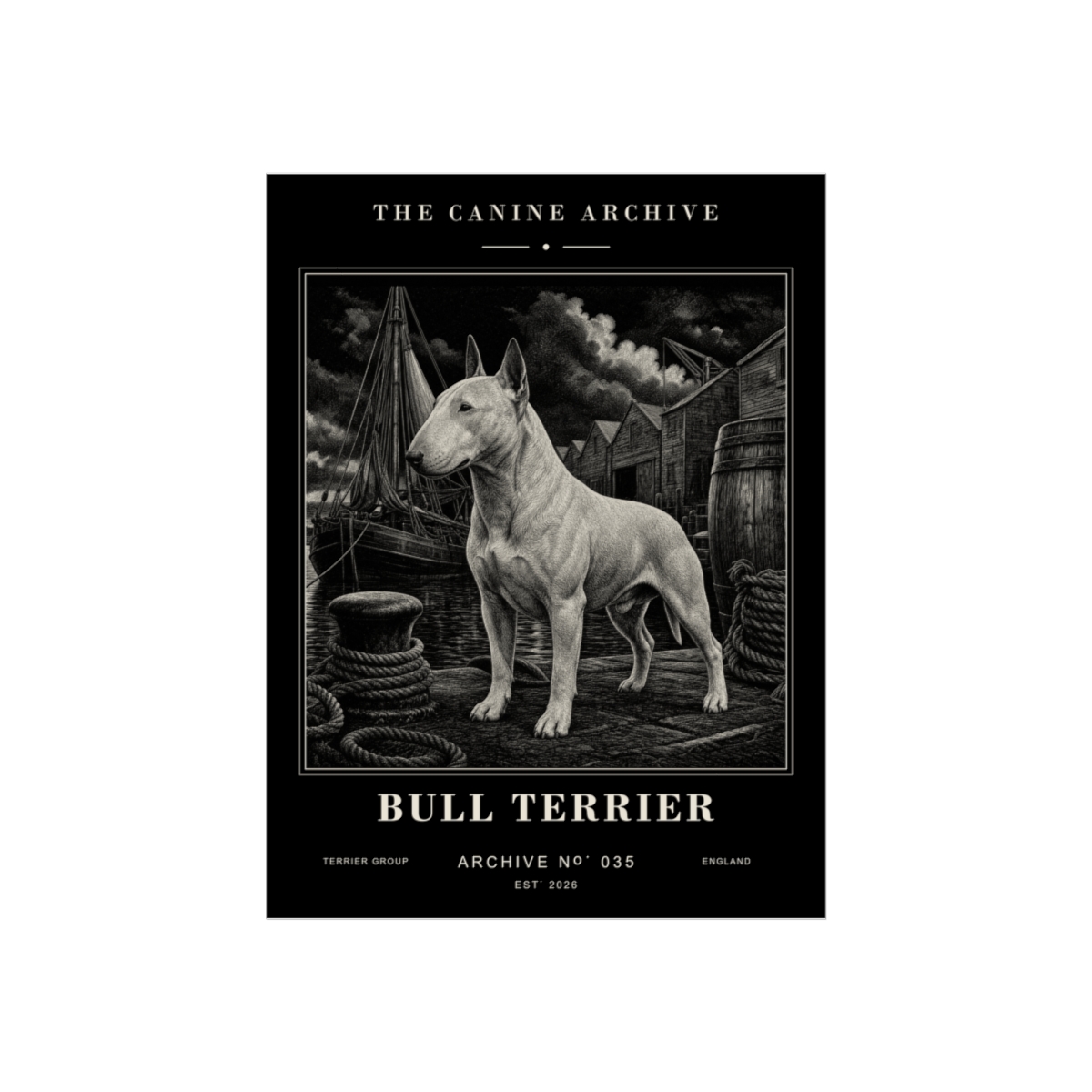 Bull Terrier Archive Print