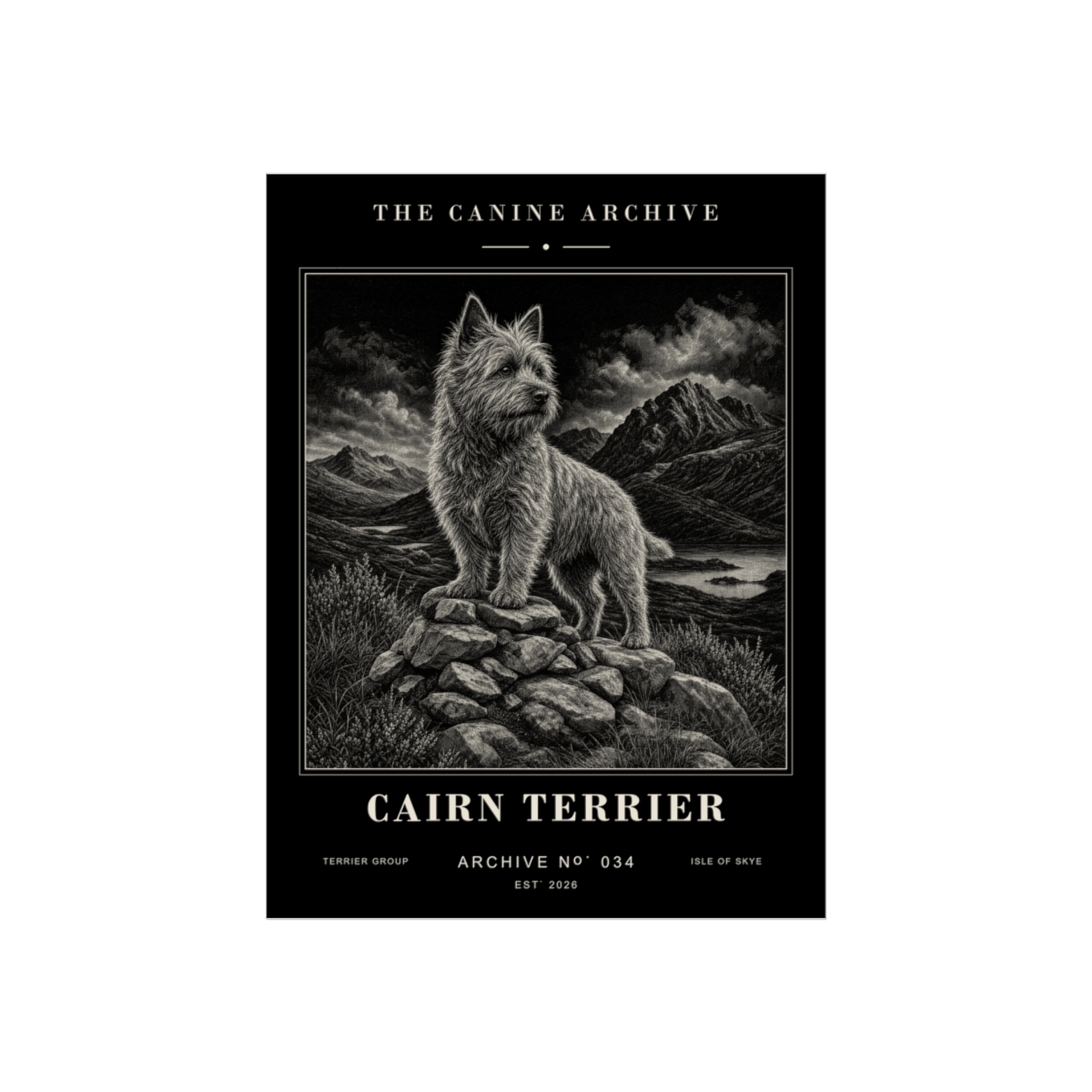 Cairn Terrier Archive Print