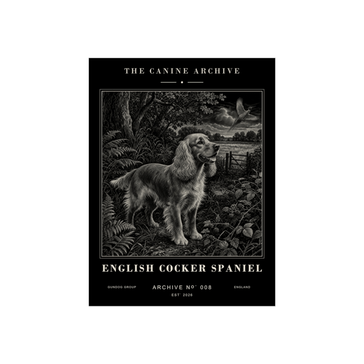 English Cocker Spaniel Archive Print