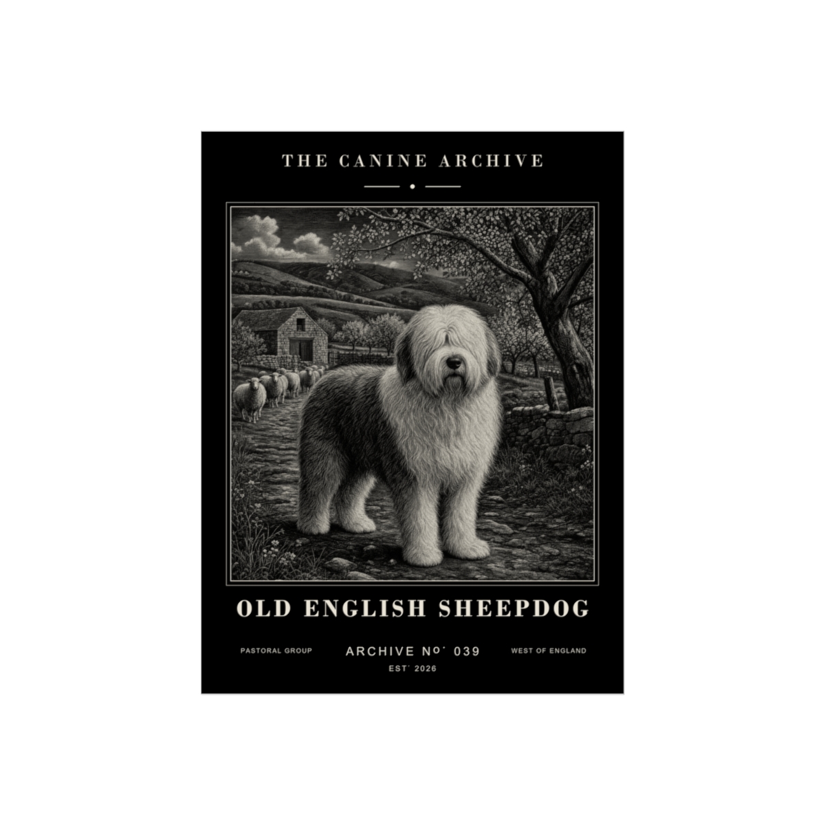 Old English Sheepdog Archive Print