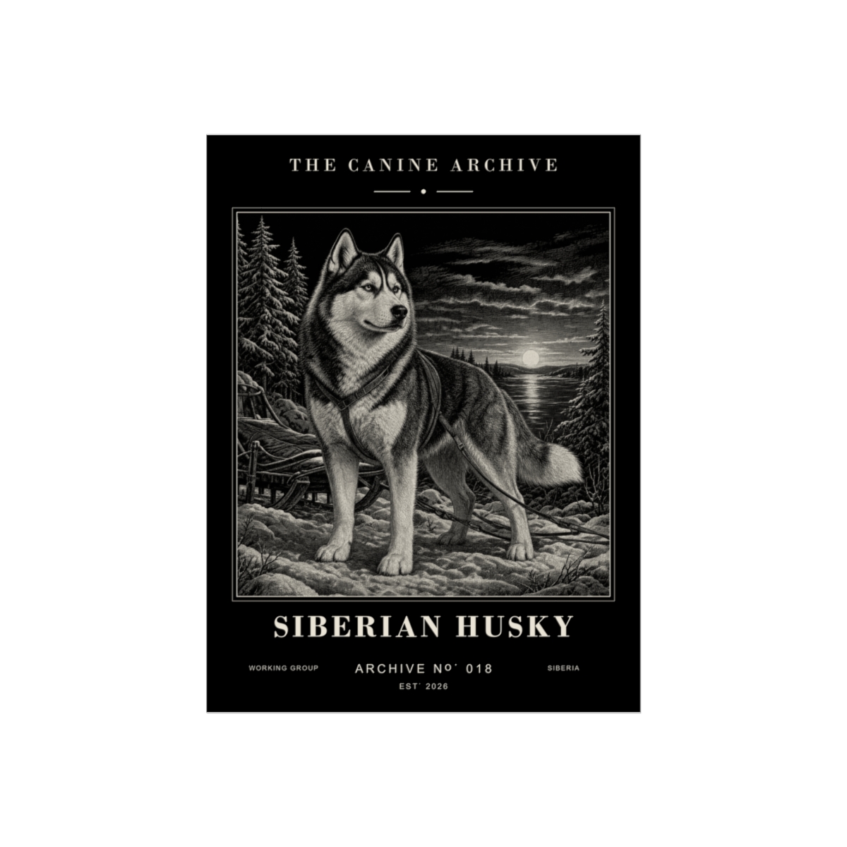 Siberian Husky Archive Print