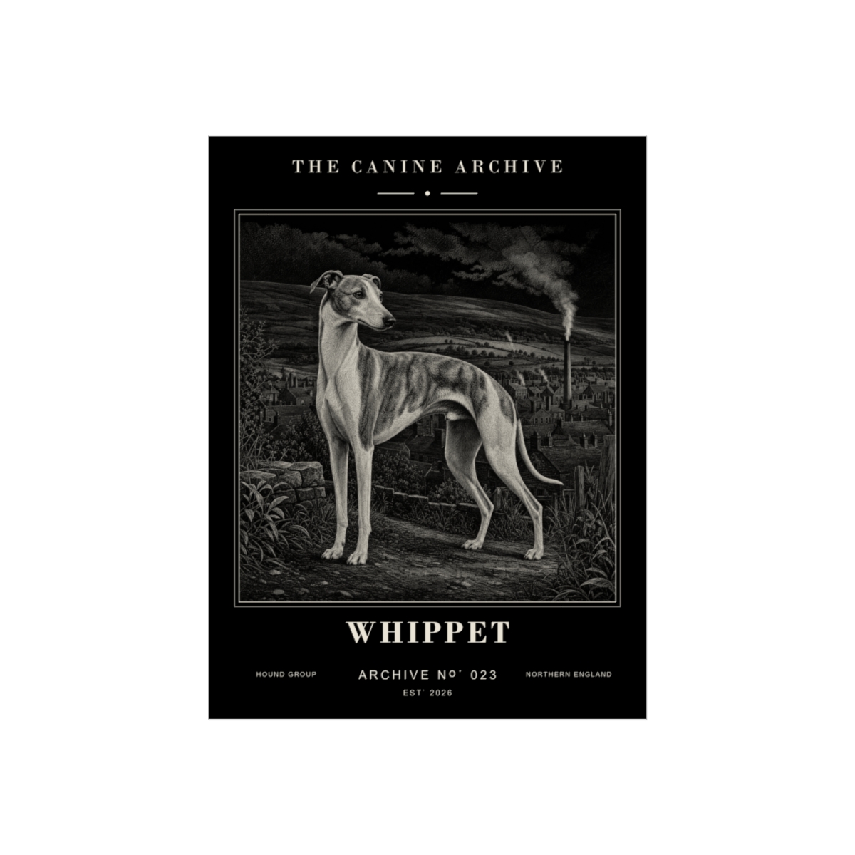 Whippet Archive Print