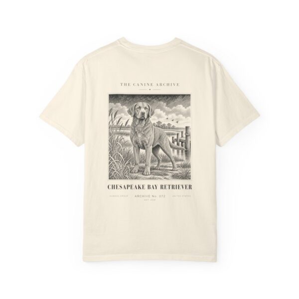 Chesapeake Bay Retriever Tee in Ivory