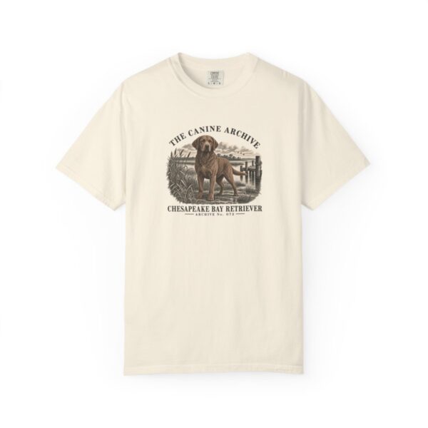 Chesapeake Bay Retriever Front Study Tee