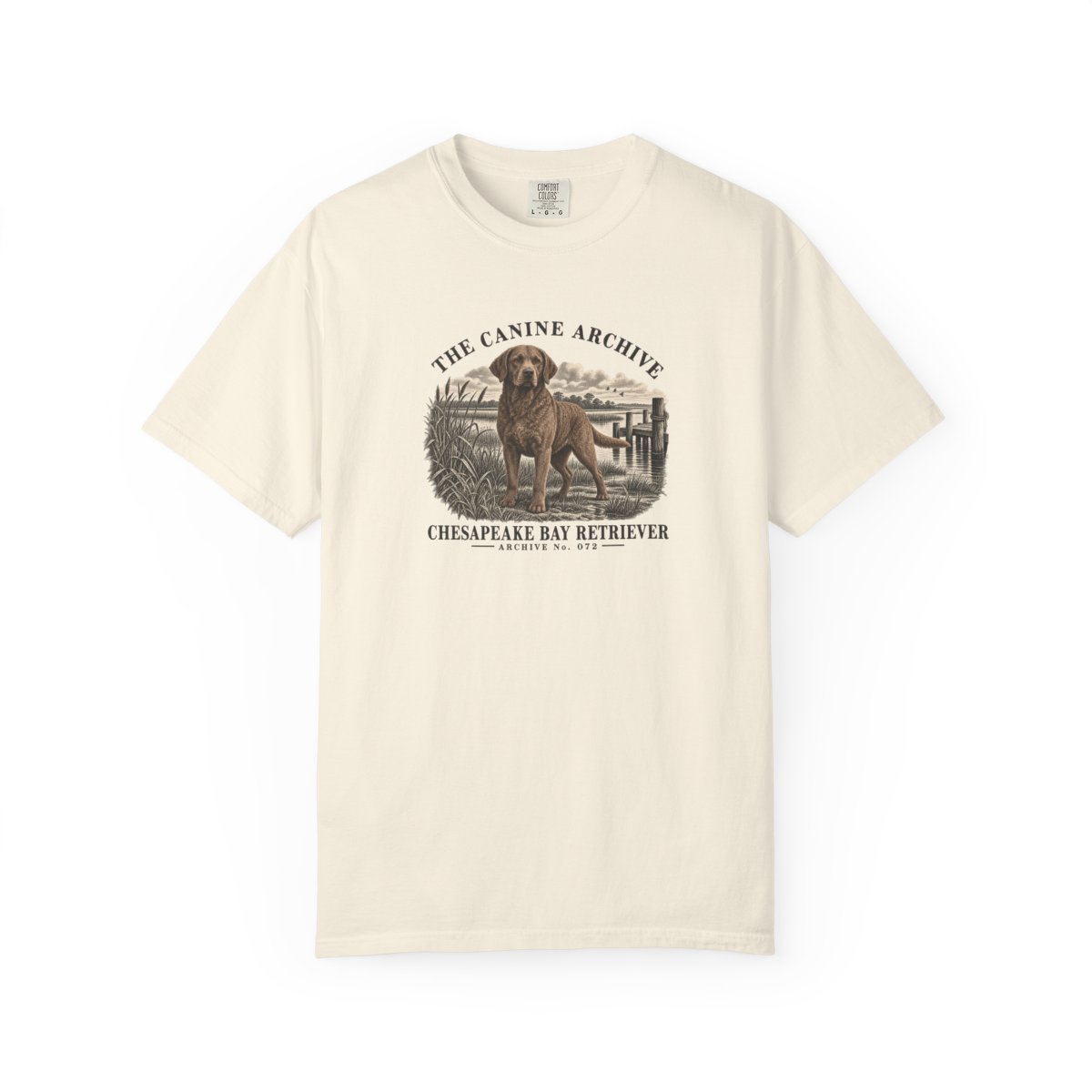 Chesapeake Bay Retriever Front Study Tee