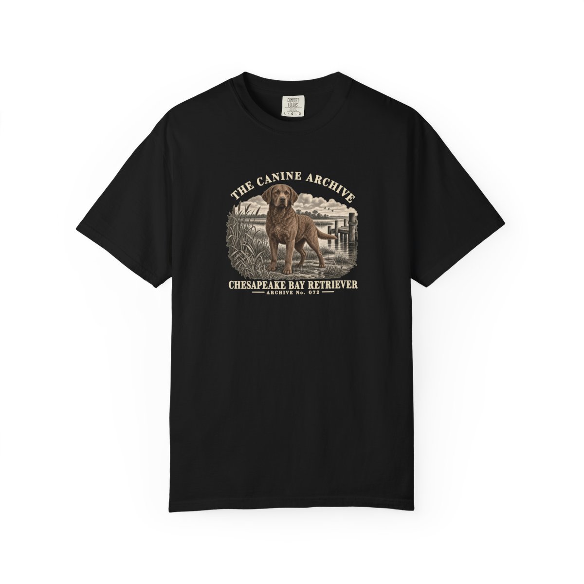 Chesapeake Bay Retriever Front Study Tee