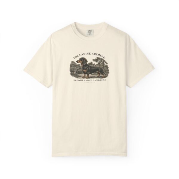 Smooth-Haired Dachshund Front Study Tee