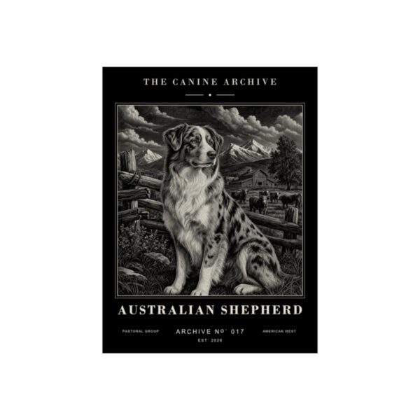Australian Shepherd Archive Print