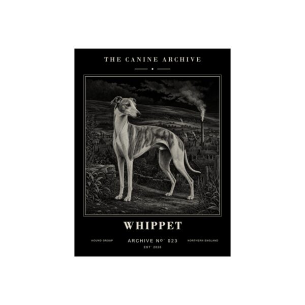 Whippet Archive Print