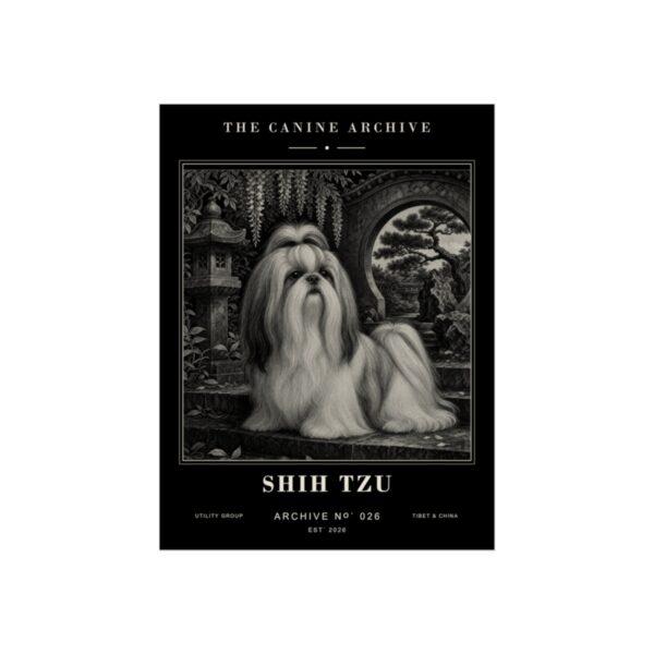 Shih Tzu Archive Print