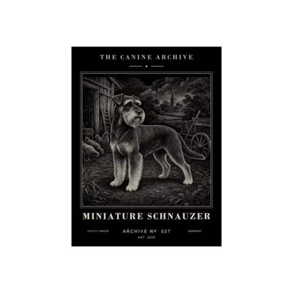 Miniature Schnauzer Archive Print