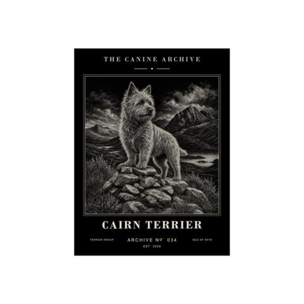 Cairn Terrier Archive Print