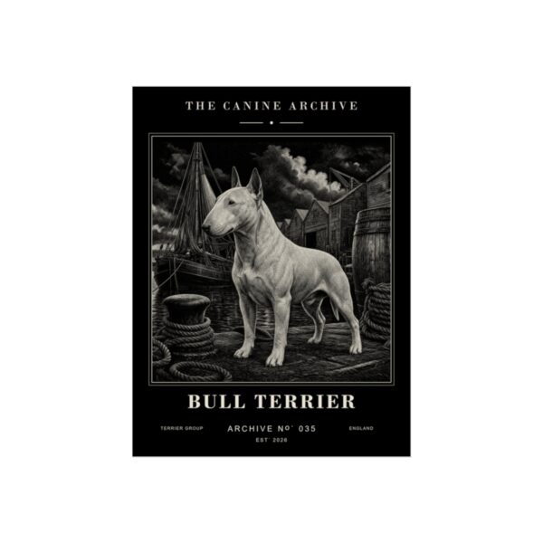 Bull Terrier Archive Print