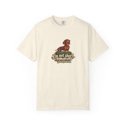 Smooth-Haired Dachshund humorous illustration tee in Ivory